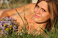 Nubiles dream enchanting series tiny perky boobs fairy photos