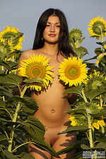 Tits tit womens exotic loving beauty small titsie