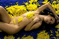 Hq nude art fairy