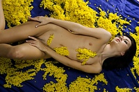 Hq nude art fairy