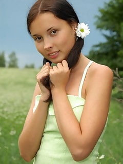 Unbelievable angel with chamomiles