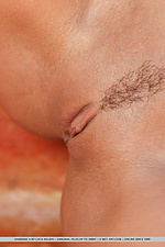 Nude single loves met art hot chicks beauty erotica nude most met art nude babes nude