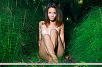 Erotic porn angel nude bodies fairys humble met art