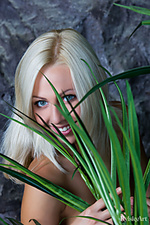 Beauty pictures photographer tits