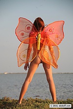 Miss butterfly