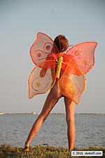 Miss butterfly